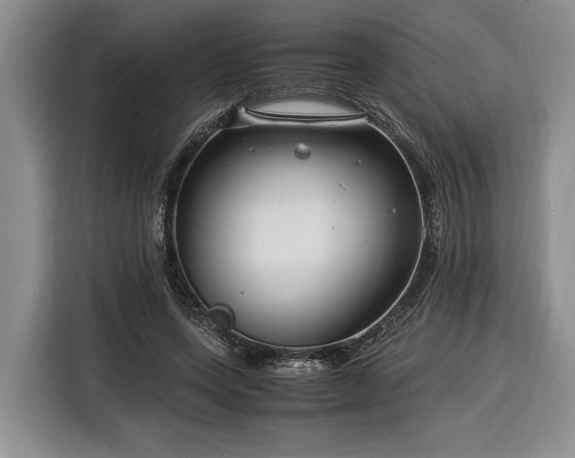 X0000116370543200912091240