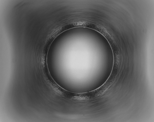 X0000116370545200912091240