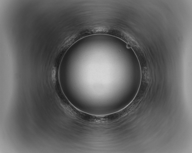 X0000116370550200912091240