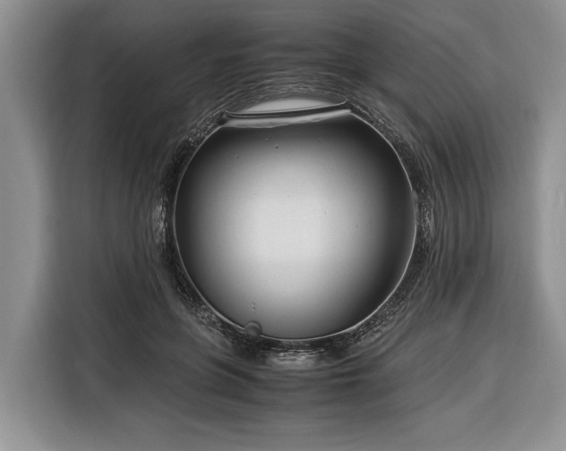 X0000116370551200912091240