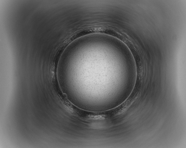 X0000116370553200912091240