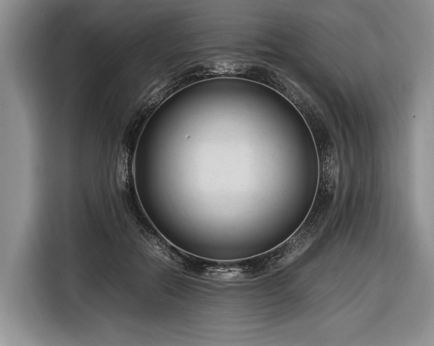 X0000116370554200912091240