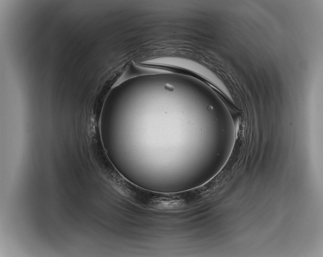 X0000116370555200912091240