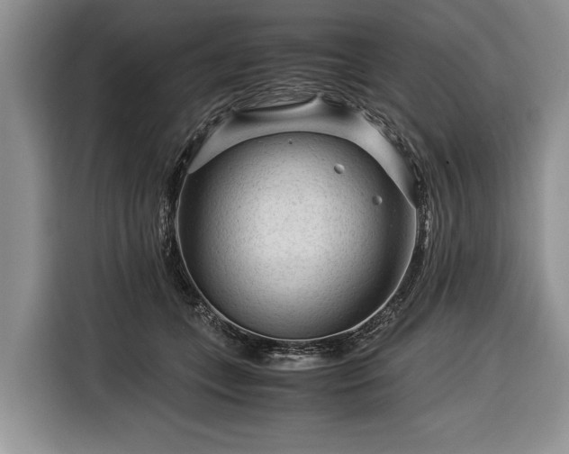 X0000116370559200912091240