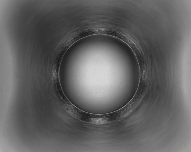 X0000116370561200912091240