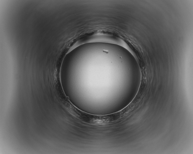 X0000116370563200912091240