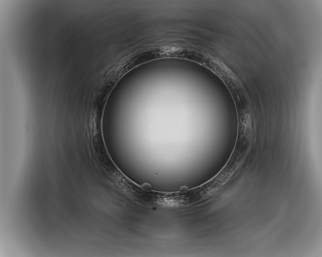 X0000116370565200912091240