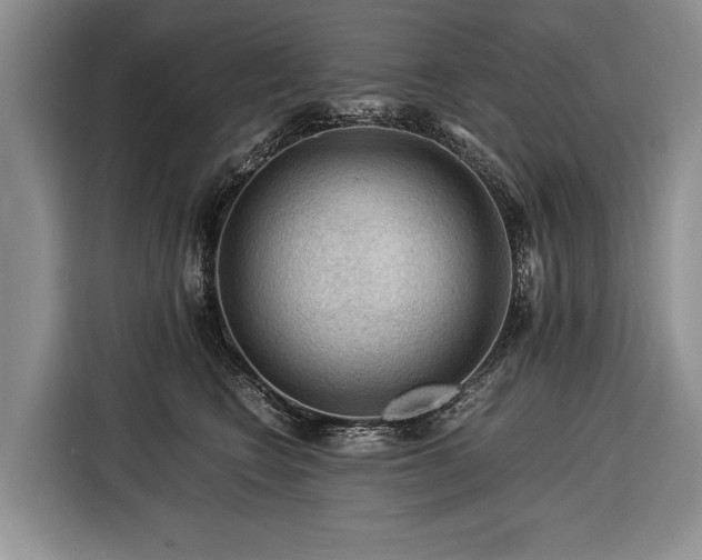 X0000116370566200912091240