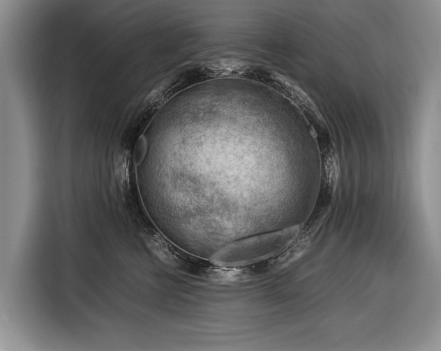 X0000116370570200912091240