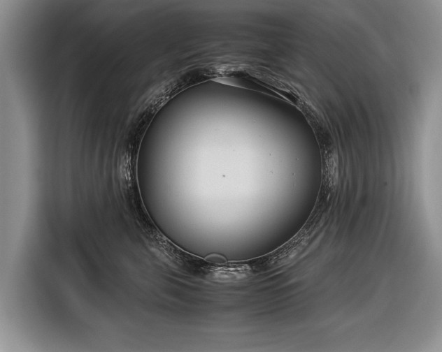 X0000116370571200912091240