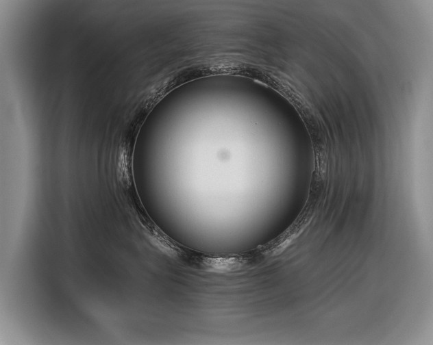 X0000116370575200912091240