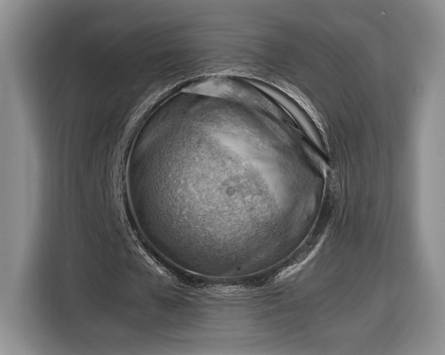 X0000116370577200912091239