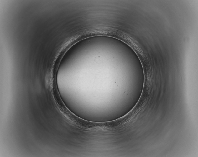 X0000116370578200912091239