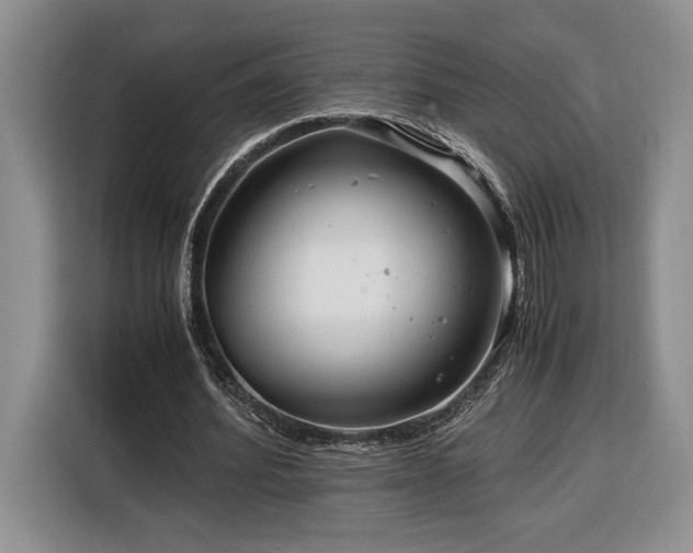 X0000116370580200912091239