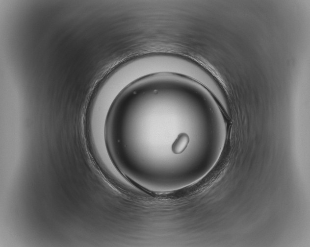 X0000116370581200912091239