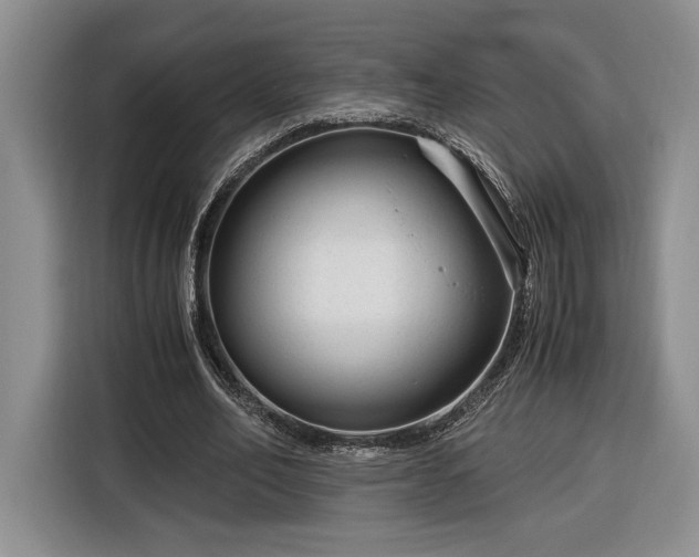 X0000116370582200912091239