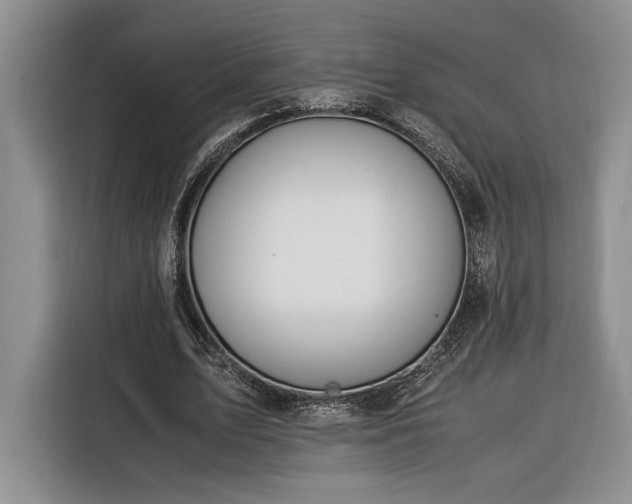 X0000116370583200912091239