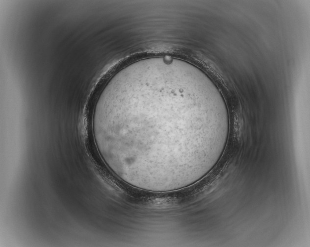 X0000116370584200912091239