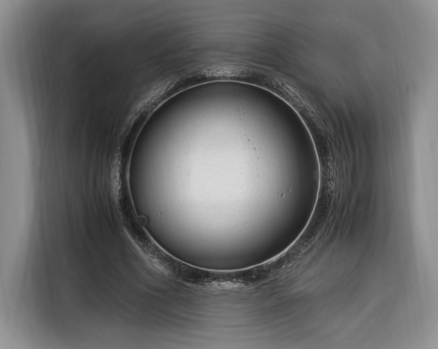 X0000116370586200912091239