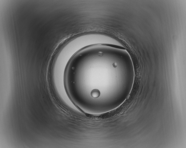 X0000116370587200912091239