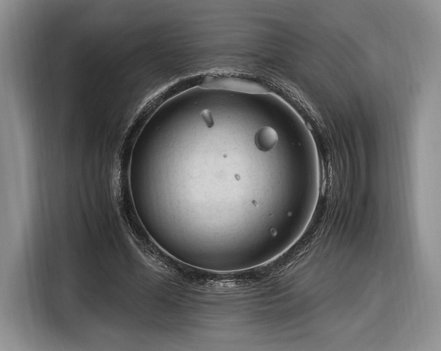 X0000116370588200912091239