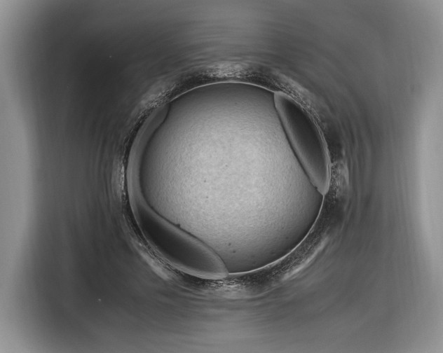 X0000116370589200912091239