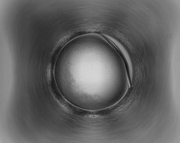 X0000116370590200912091239