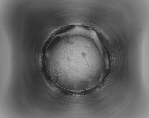 X0000116370592200912091239