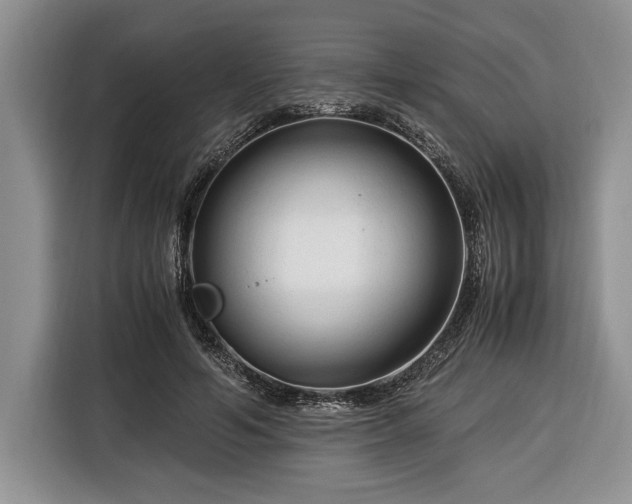 X0000116370594200912091239