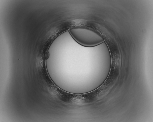 X0000116370595200912091239