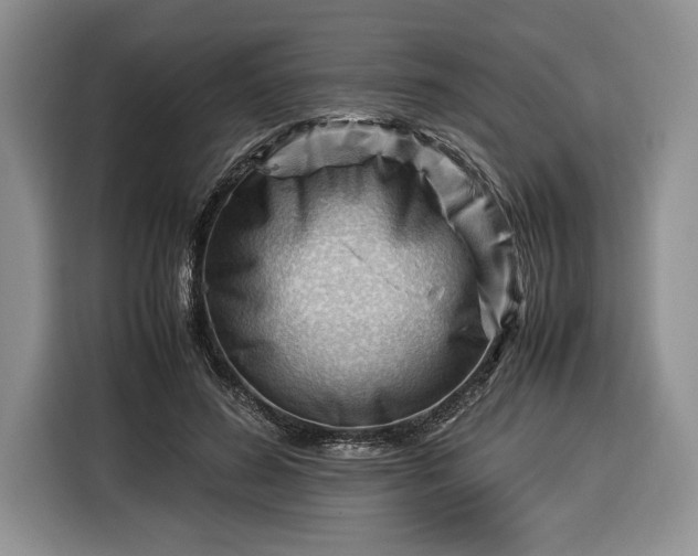 X0000116370596200912091239