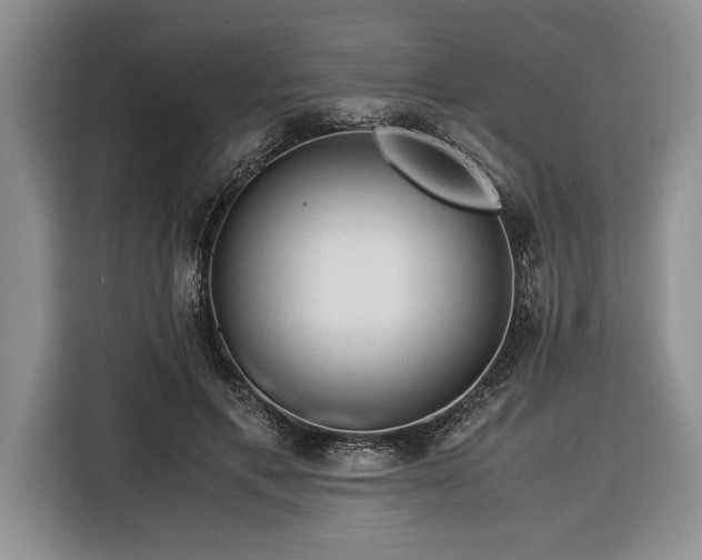 X0000116370597200912091239