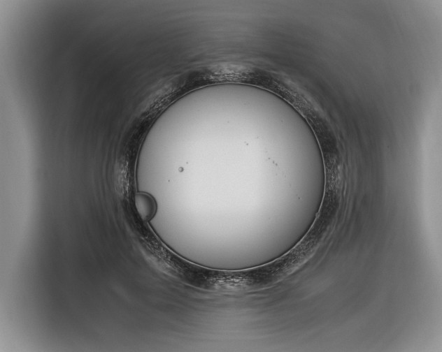 X0000116370599200912091239