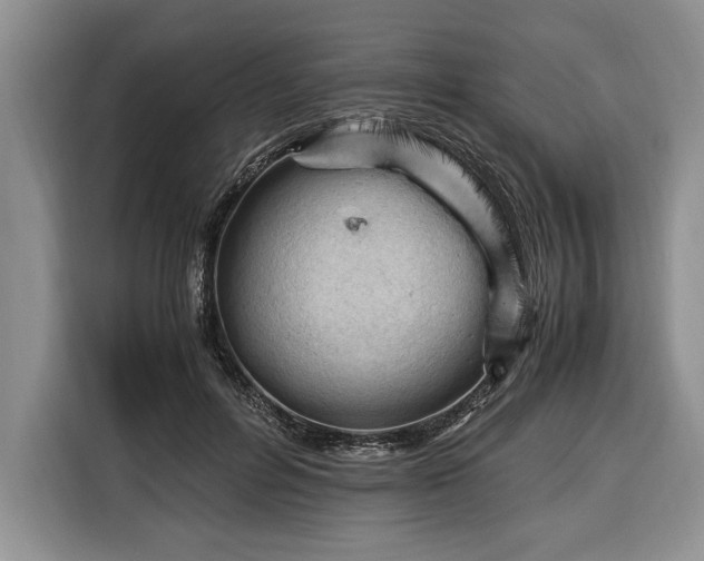 X0000116370600200912091239