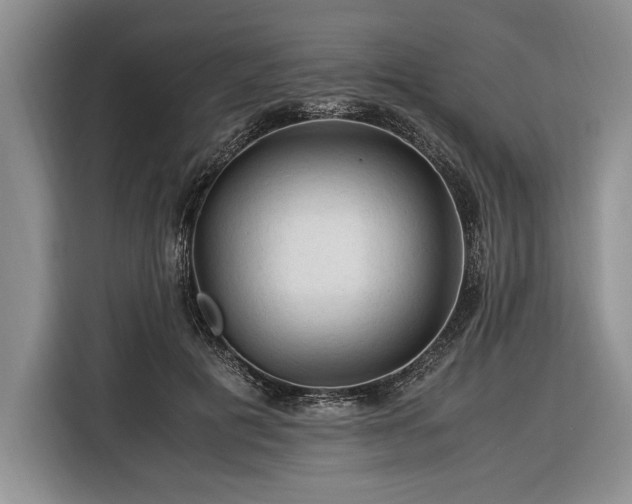 X0000116370601200912091239