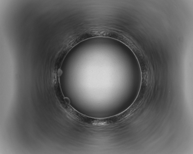 X0000116370602200912091239