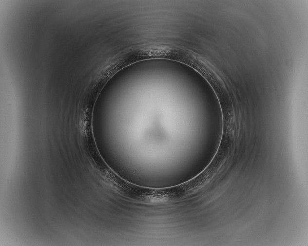 X0000116370604200912091239