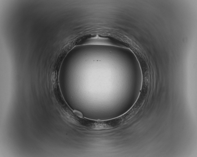 X0000116370605200912091239