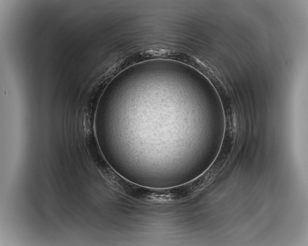 X0000116370606200912091239