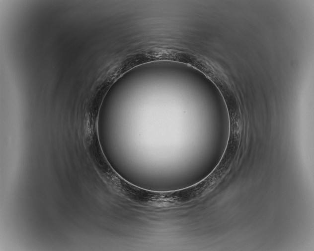 X0000116370607200912091239