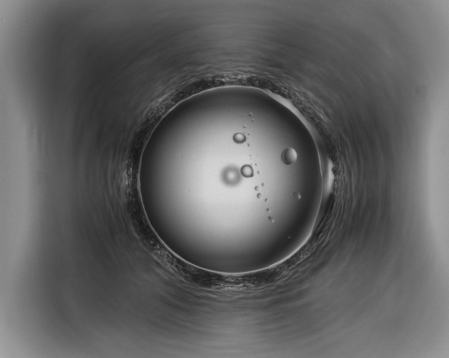 X0000116370608200912091239