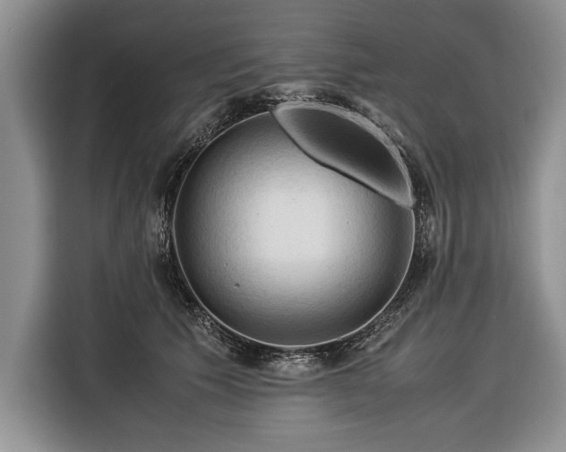 X0000116370609200912091239