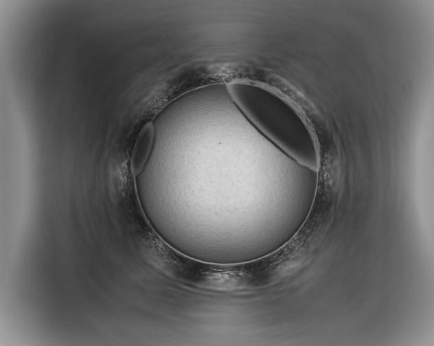 X0000116370611200912091239