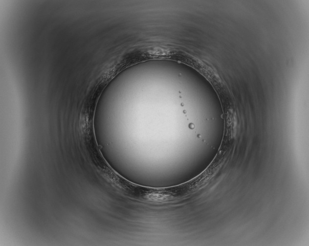 X0000116370614200912091239