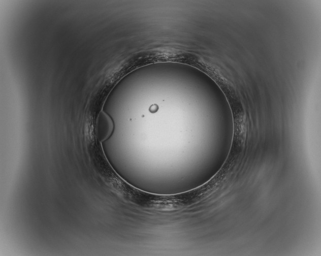 X0000116370615200912091239