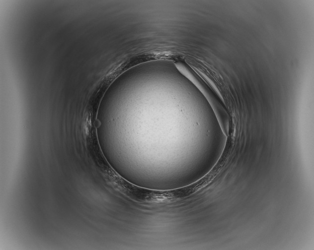 X0000116370618200912091239