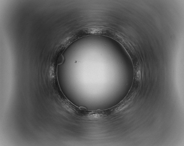 X0000116370620200912091239