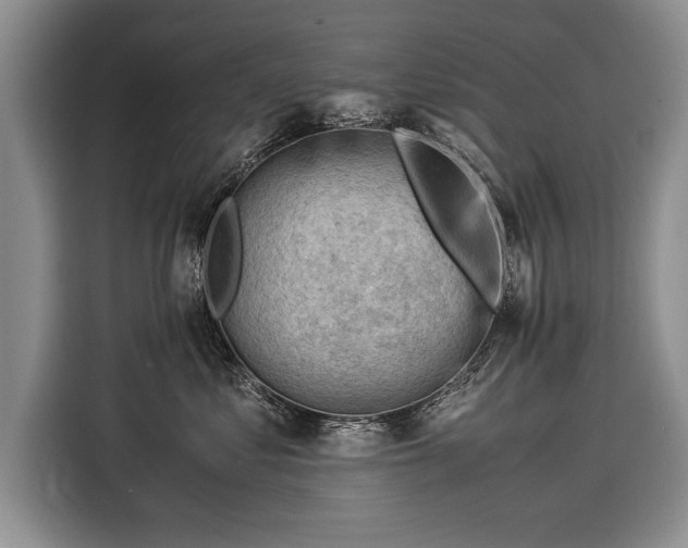 X0000116370621200912091239