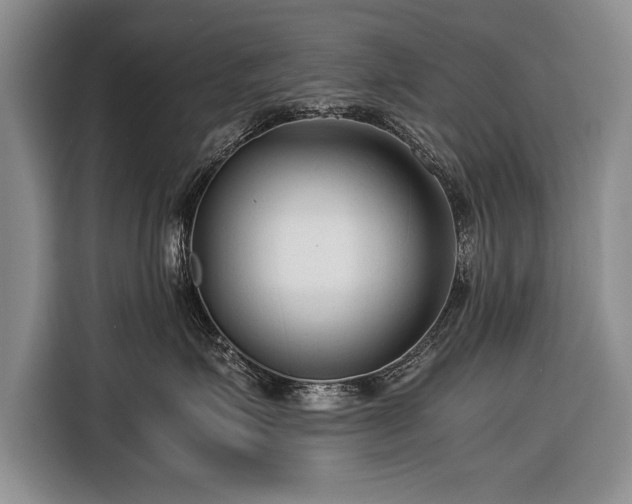 X0000116370623200912091239