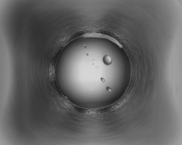 X0000116370624200912091239